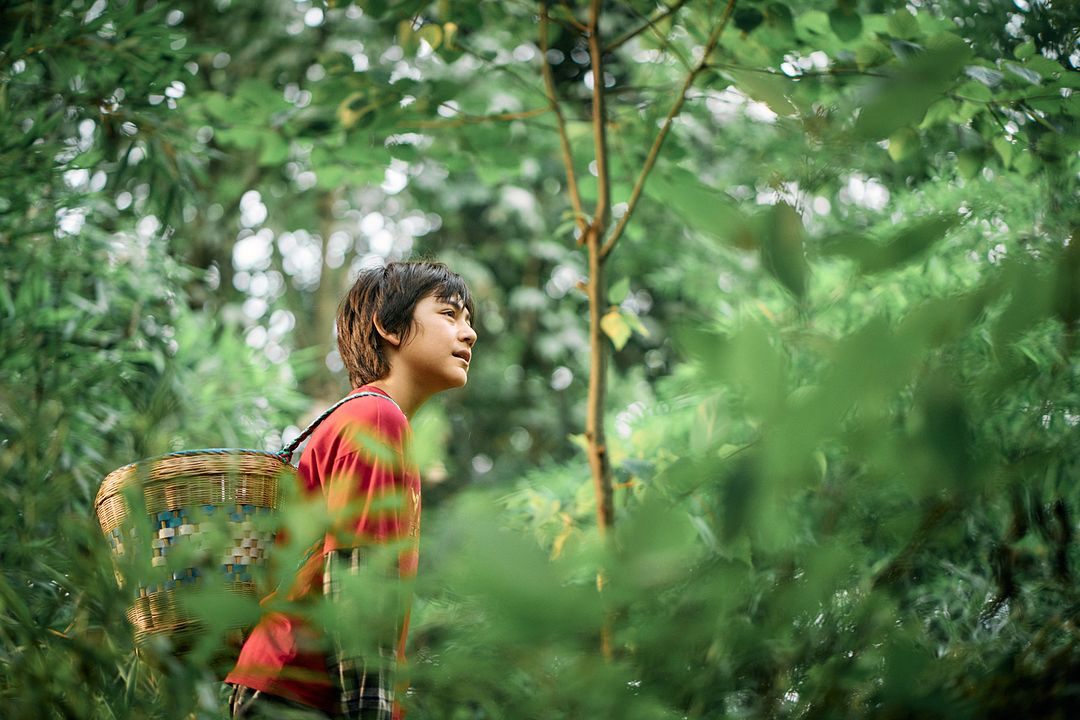 Moon, der Panda : Bild Noé Yé, Noé Liu Martane