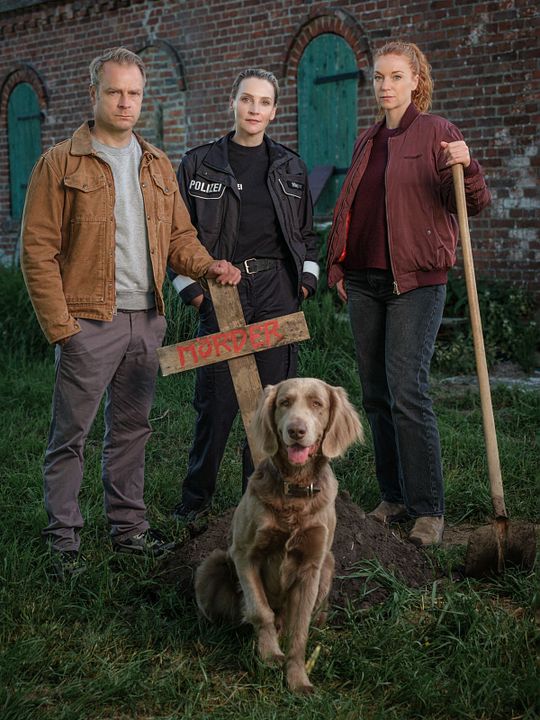 Nord bei Nordwest: Das dritte Grab : Kinoposter