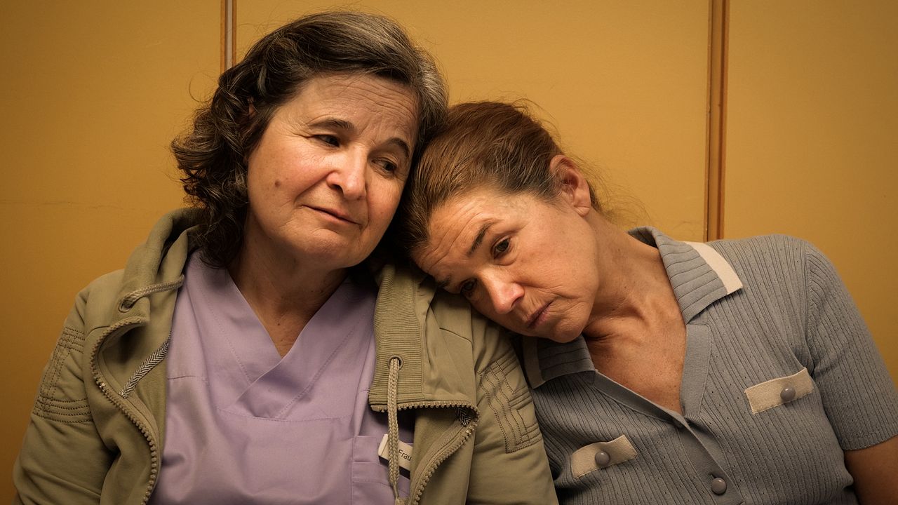 Dann passiert das Leben : Bild Anke Engelke