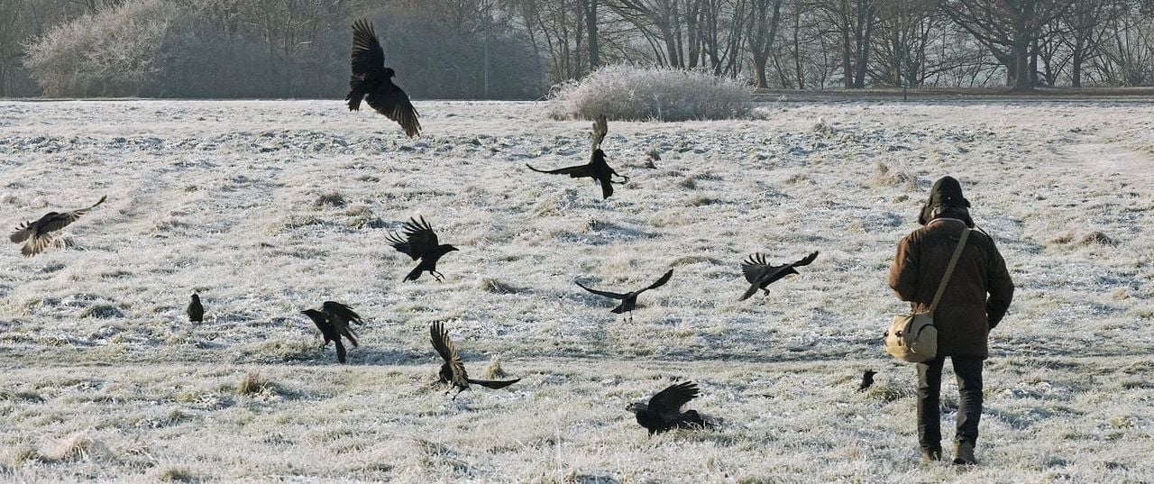 Watching People Watching Birds : Bild