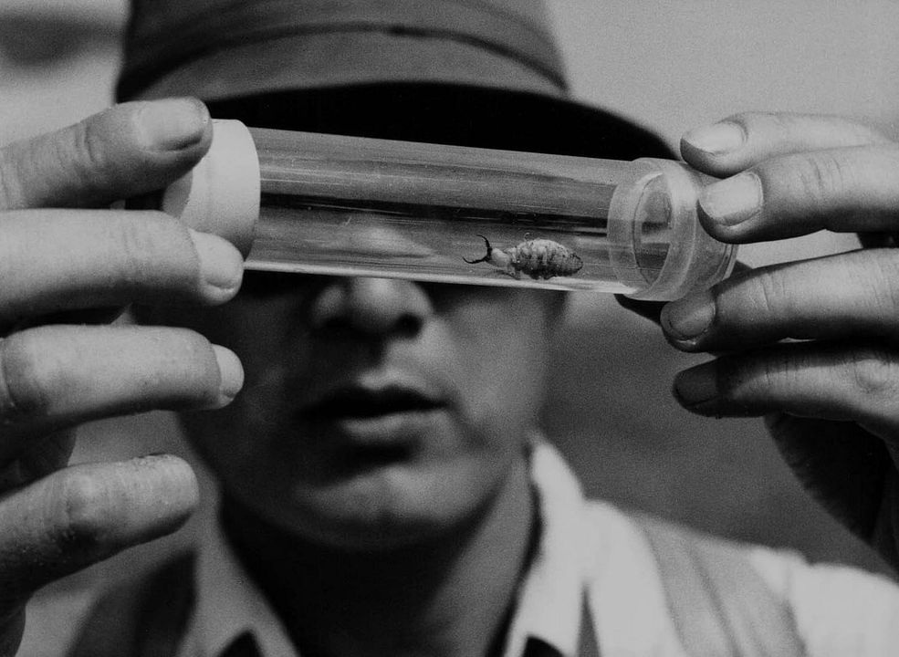 Die Frau in den Dünen : Bild Eiji Okada