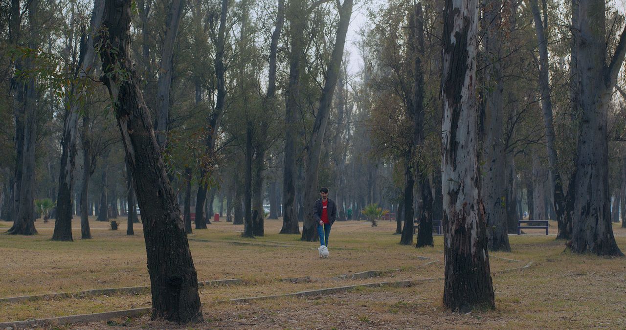 Was wir gemeinsam schufen  : Bild