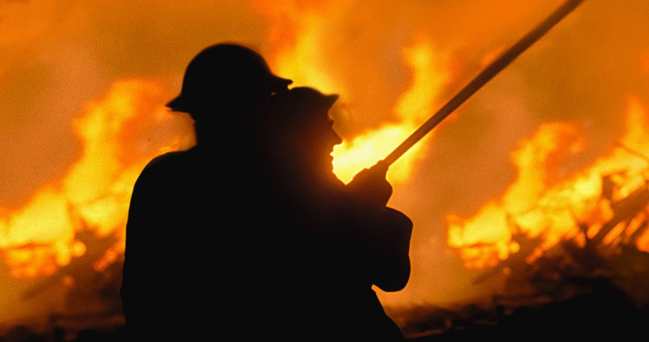 Die Briten und der Blitz : Bild