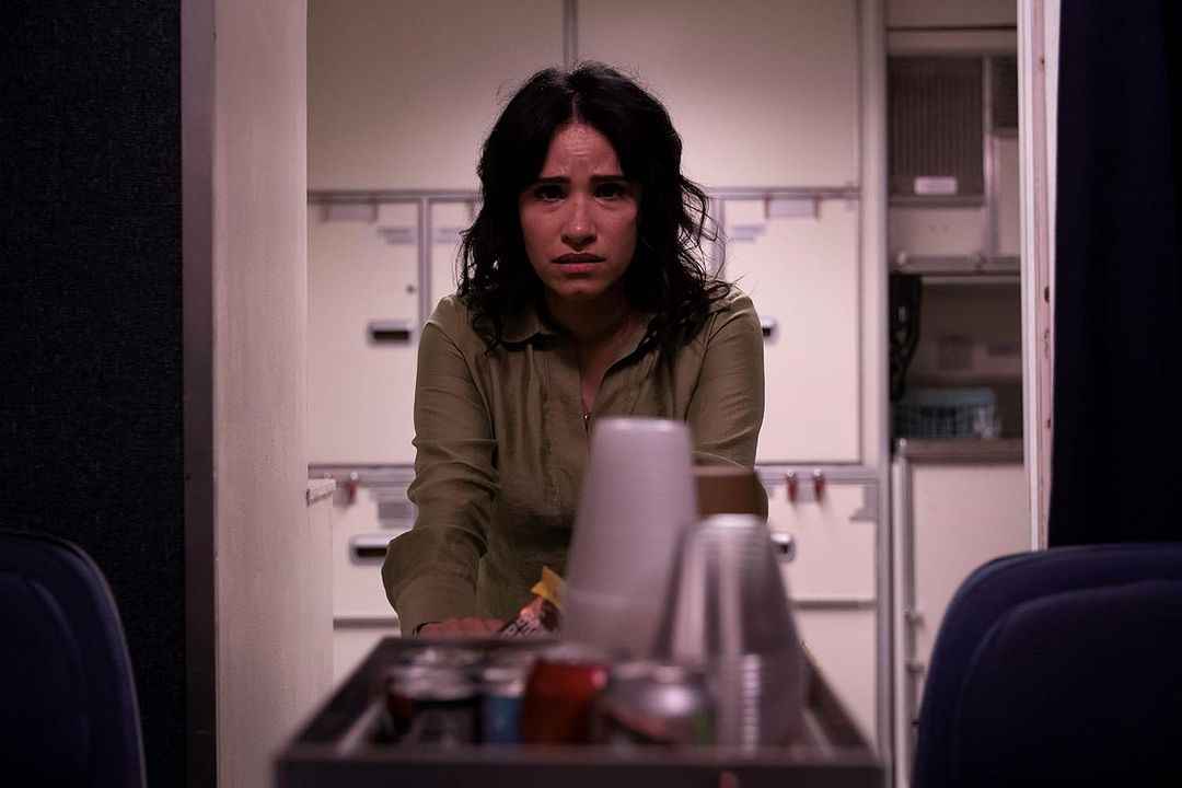 In Flight - Never Fly Alone : Bild