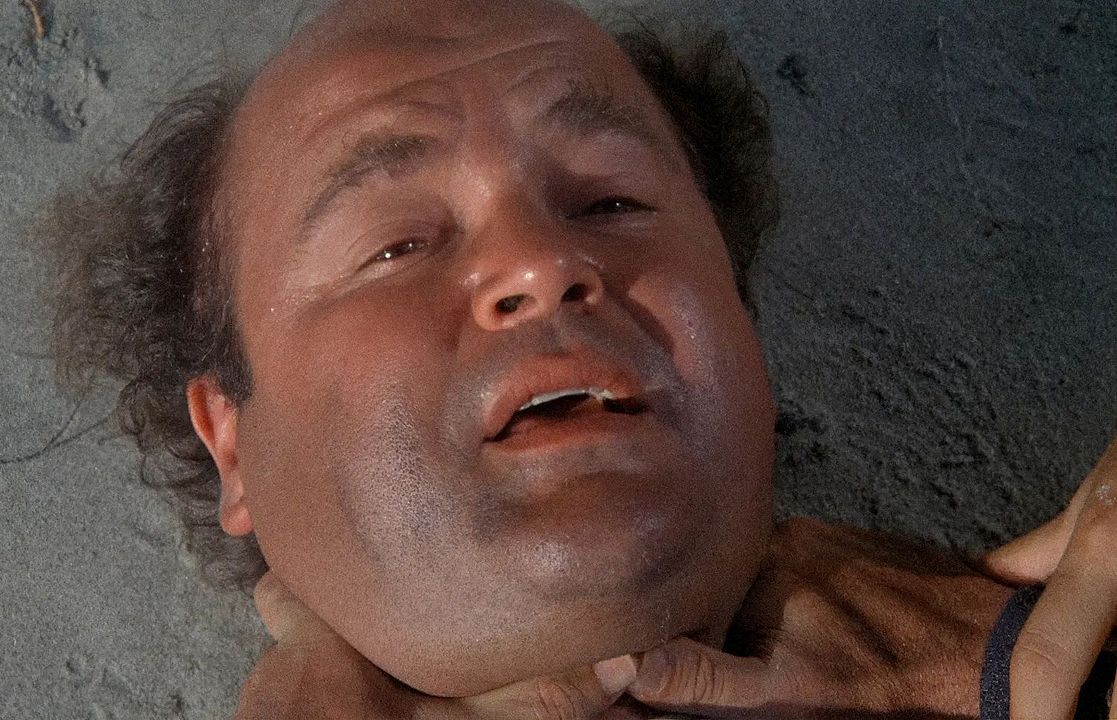 Nobody Is Perfect : Bild Dom DeLuise