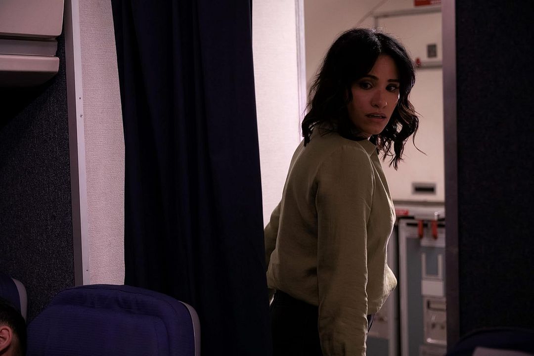 In Flight - Never Fly Alone : Bild