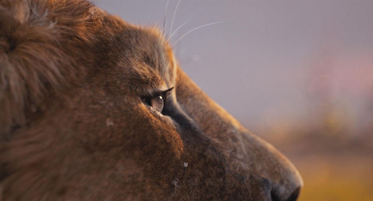 Mufasa: Der König der Löwen : Bild