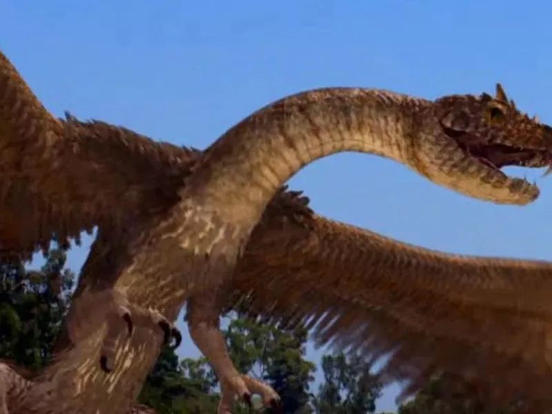 Die Hölle am Himmel : Bild