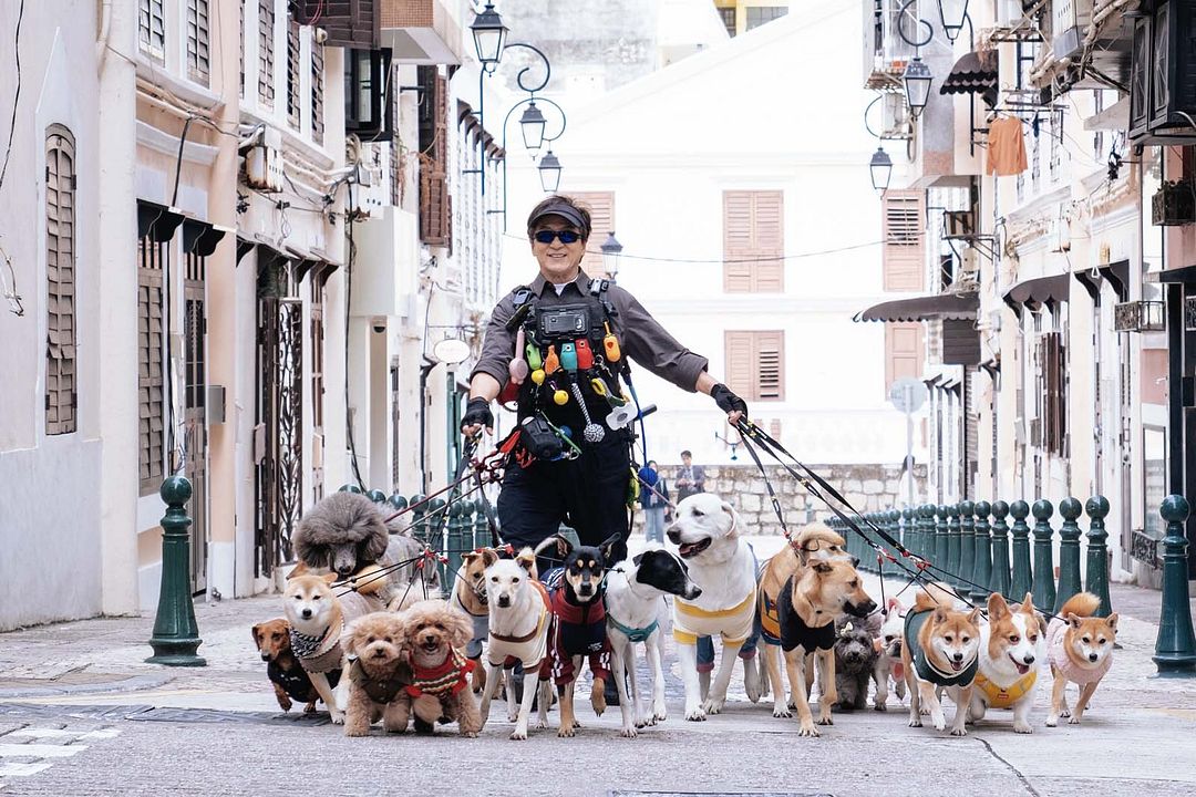 Shadow Chase - Im Netz der Diebe : Bild