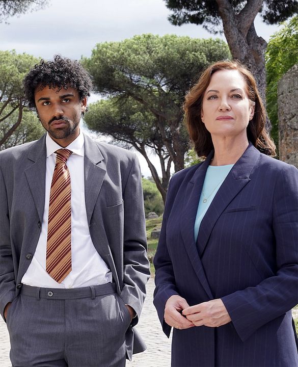 Die Diplomatin - Raubgräber : Kinoposter