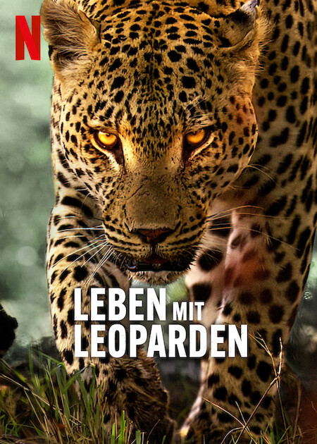 Leben mit Leoparden : Kinoposter