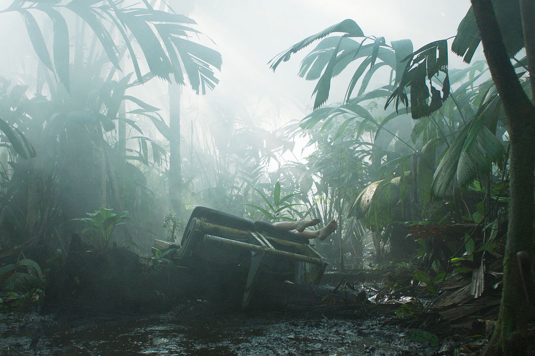 Transamazônia : Bild