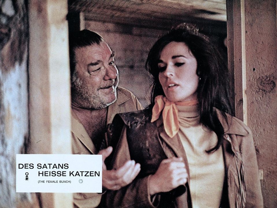 Des Satans heiße Katzen : Bild