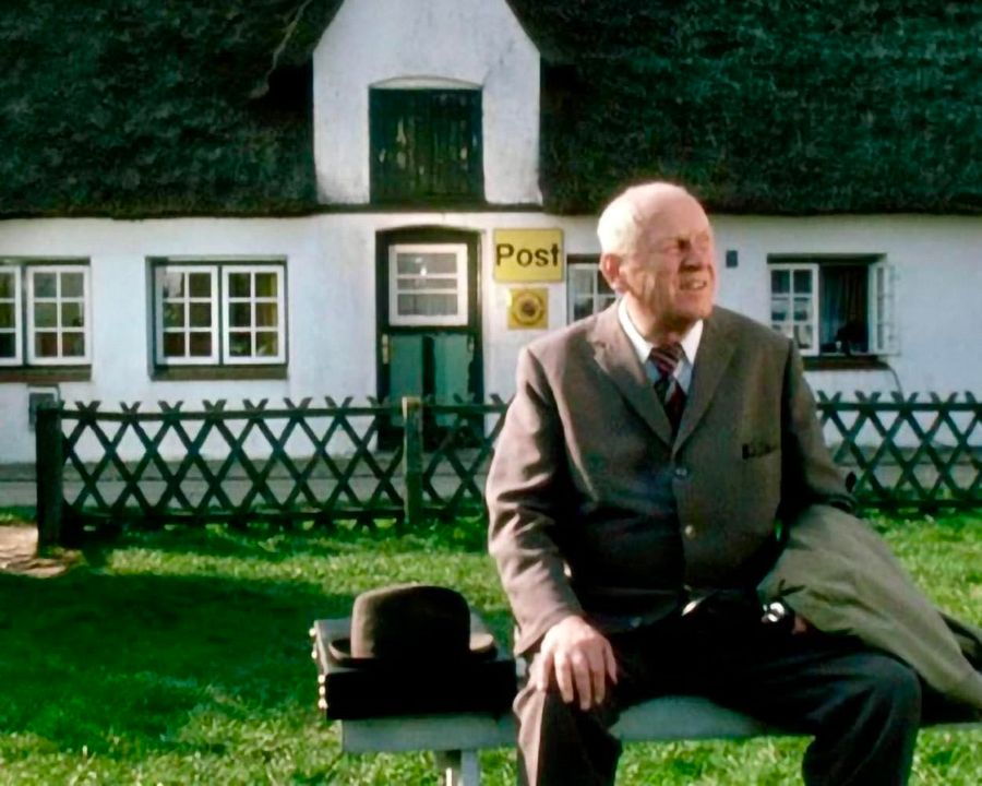 Ein sturer Bock und andere Geschichten : Bild