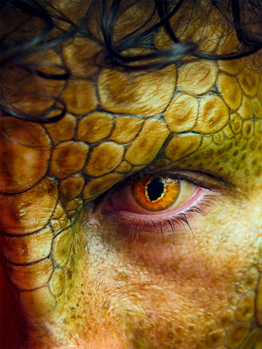 Club der Dinosaurier : Kinoposter