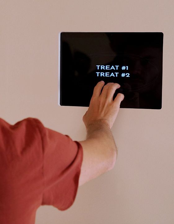 The Immaculate Room : Bild