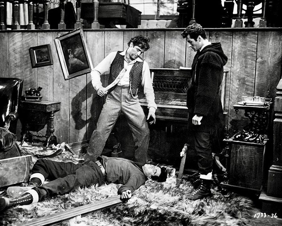 Allen Gefahren zum Trotz : Bild