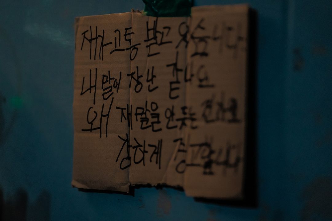 Noise - Hörst du es auch? : Bild