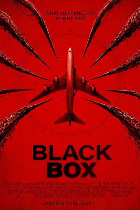 Flight 298 : Kinoposter