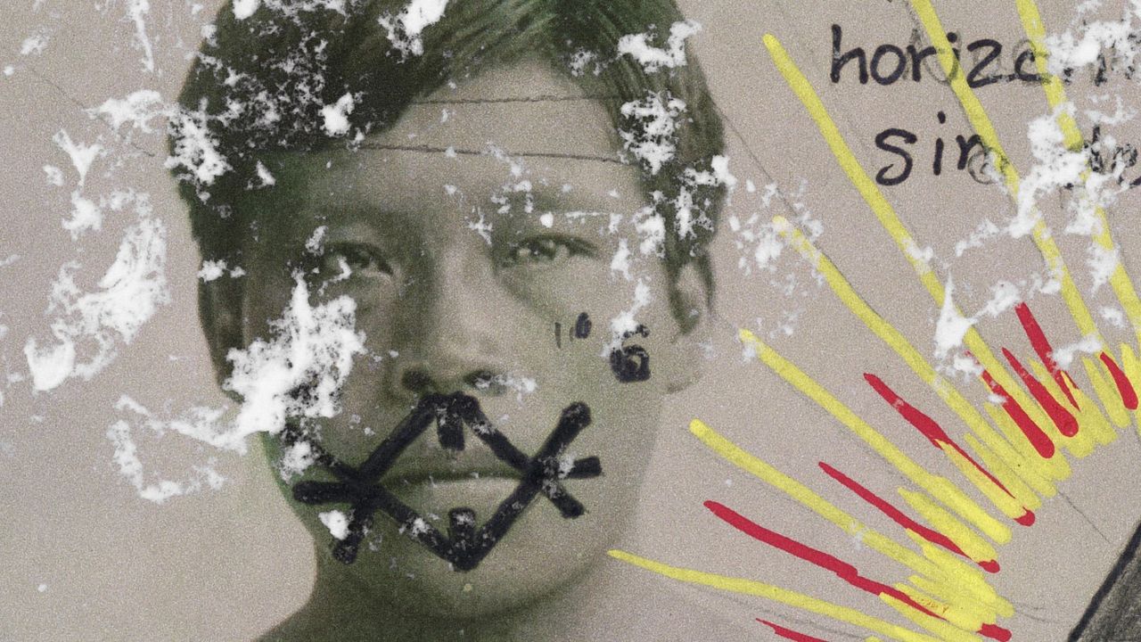 The Memory Of Butterflies : Bild