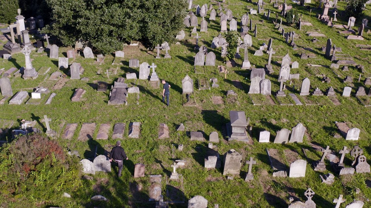 Friendly Fire - Erich Fried : Bild