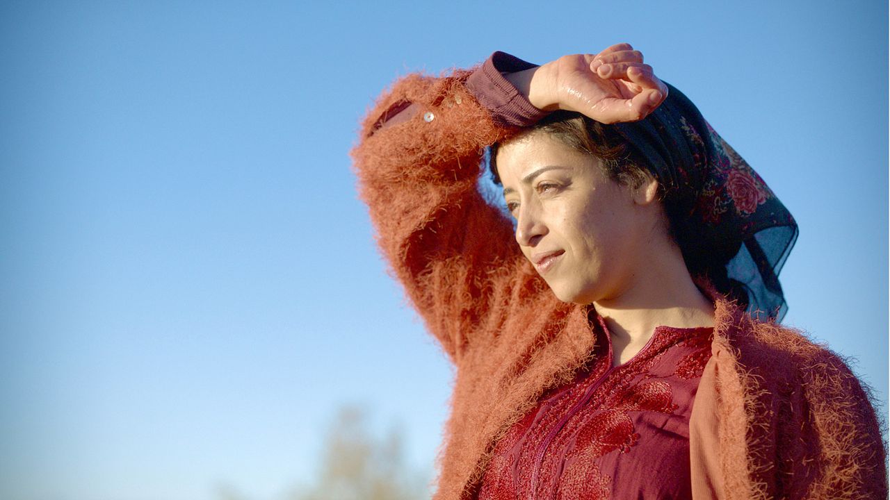 Alle lieben Touda : Bild