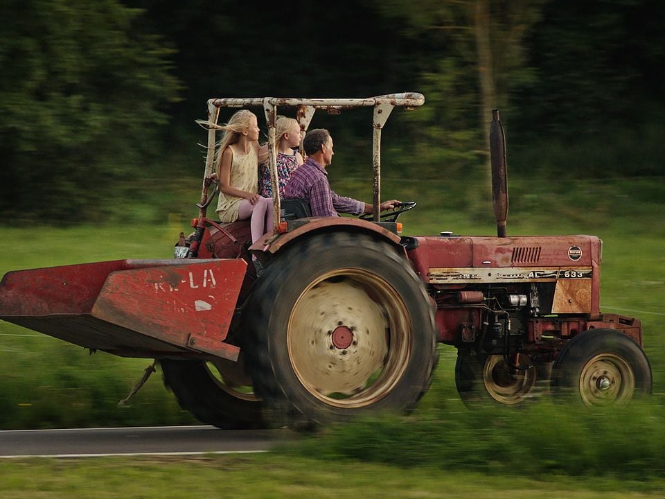 Milch ins Feuer : Bild