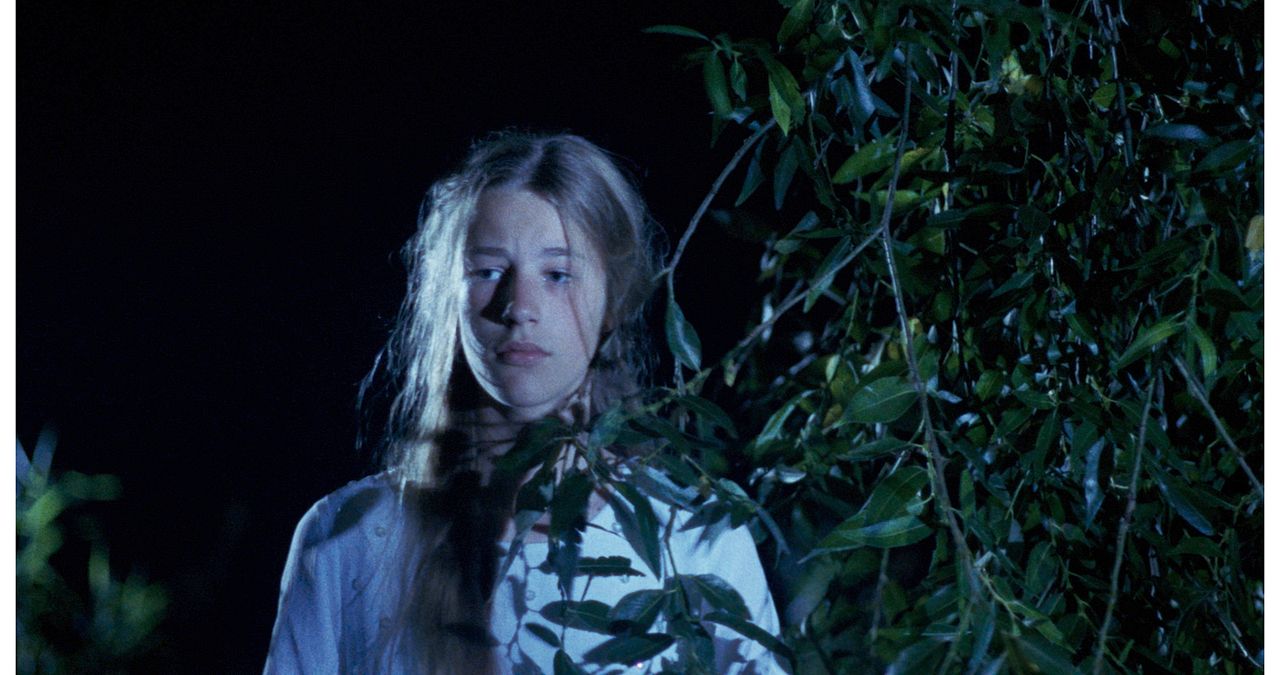 Schweinesand - Eine Insel voller Geheimnisse : Bild