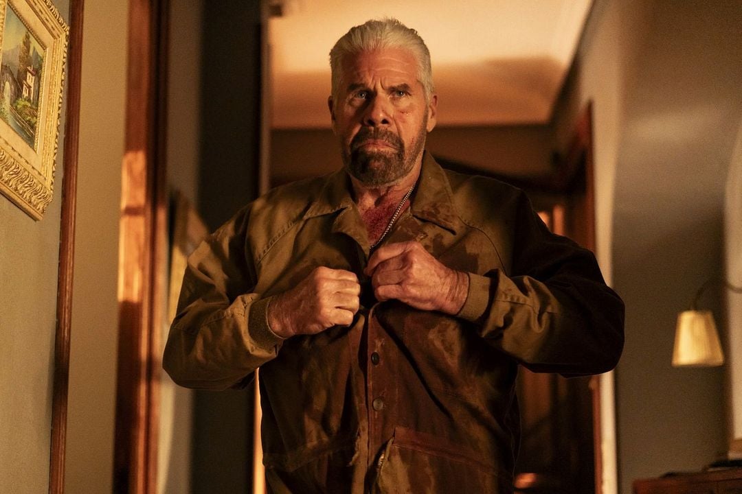 The Gentleman : Bild Ron Perlman