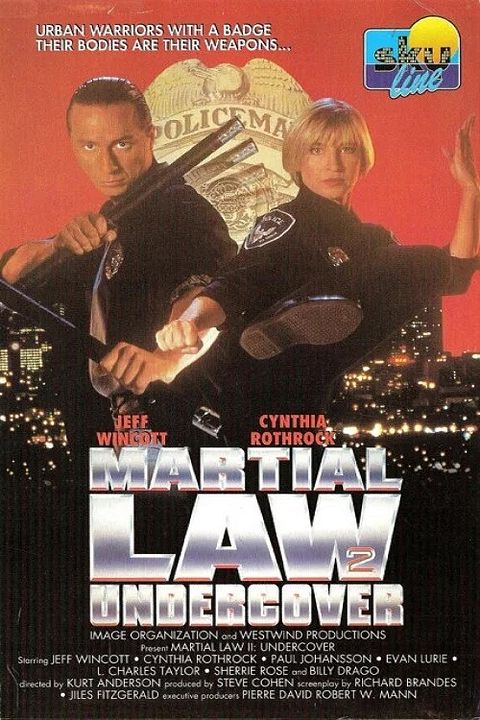 Martial Law II: Undercover : Kinoposter