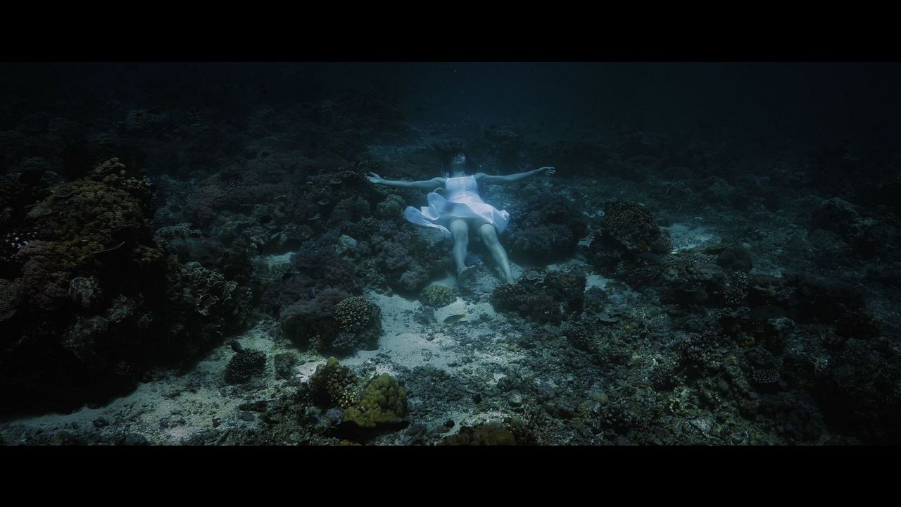 Nerisa – Secrets Of A Siren : Bild