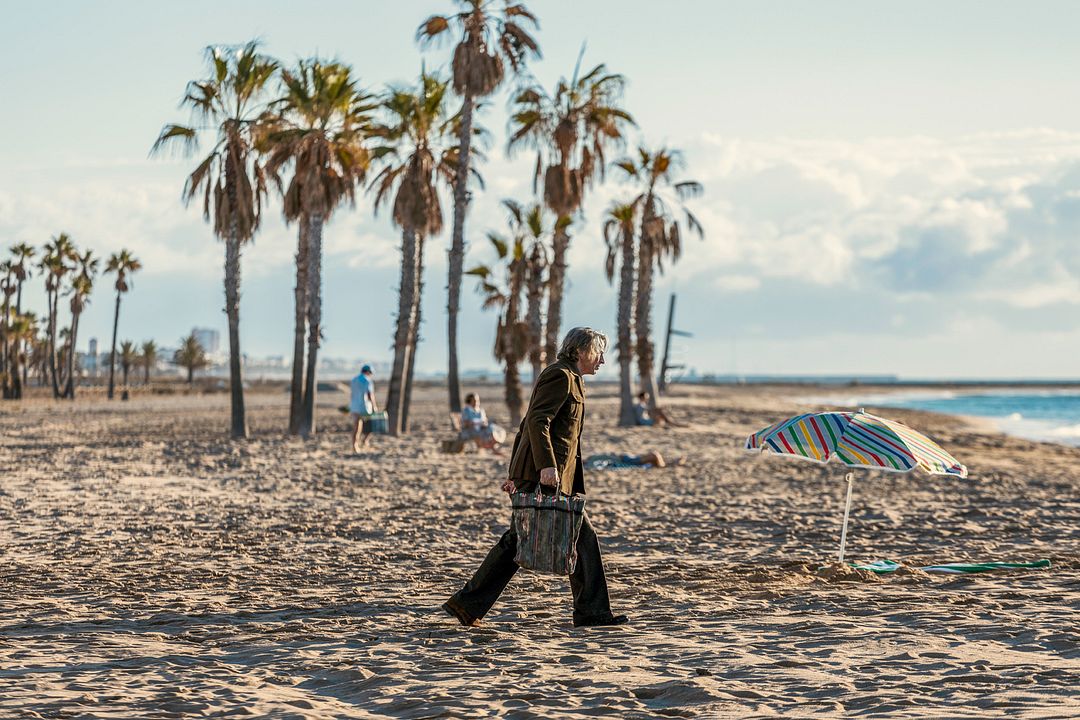 Der Pinguin meines Lebens : Bild Steve Coogan