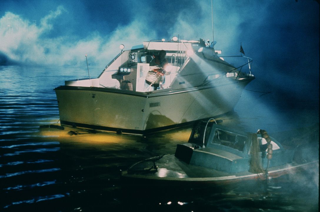 Der weiße Hai : Bild