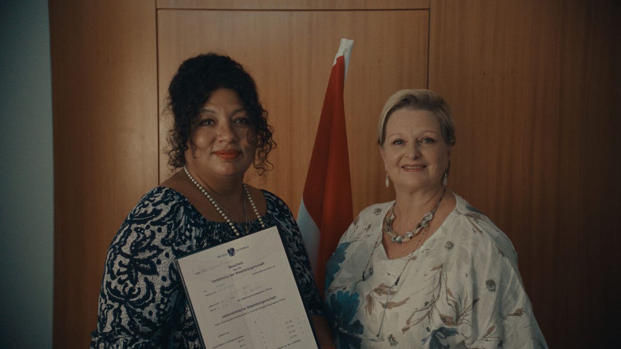 Noch lange keine Lipizzaner : Bild