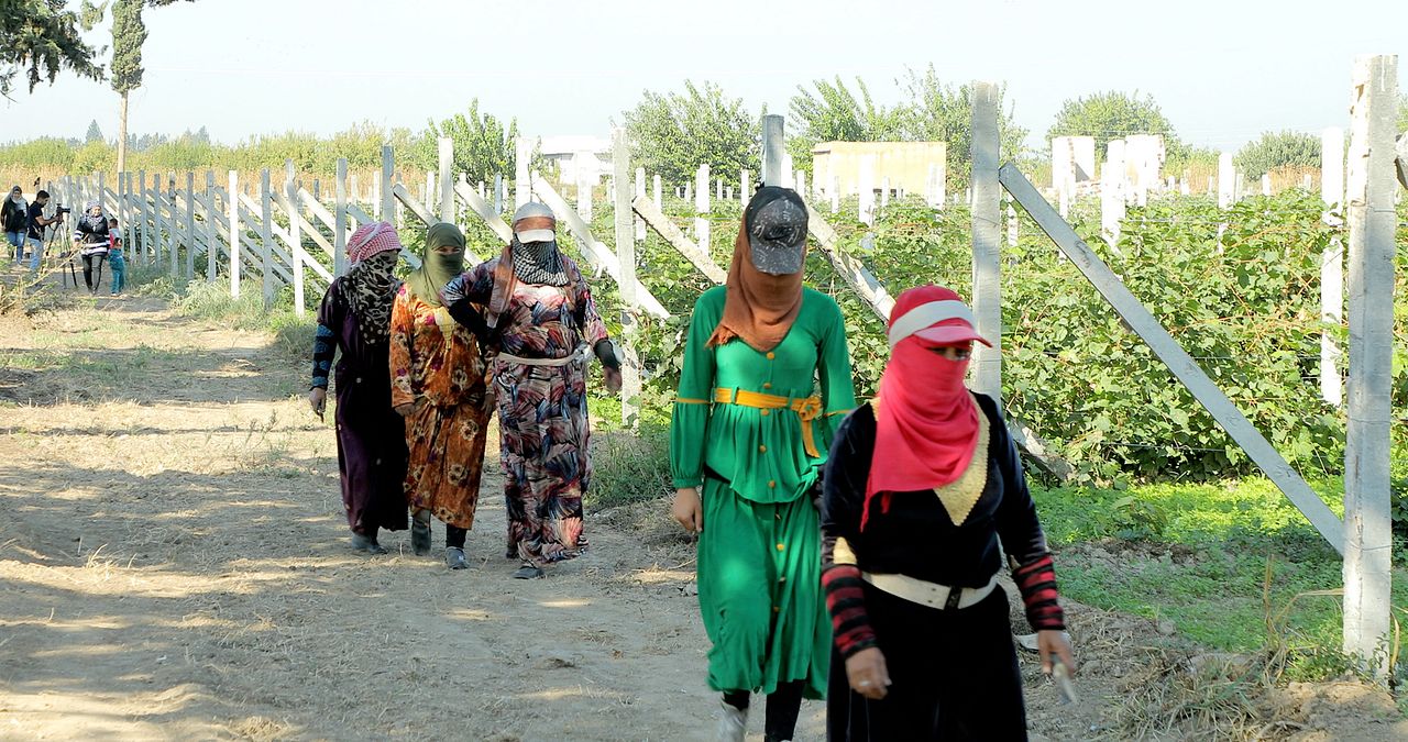 Tevî her tiştî – Trotz alledem : Bild