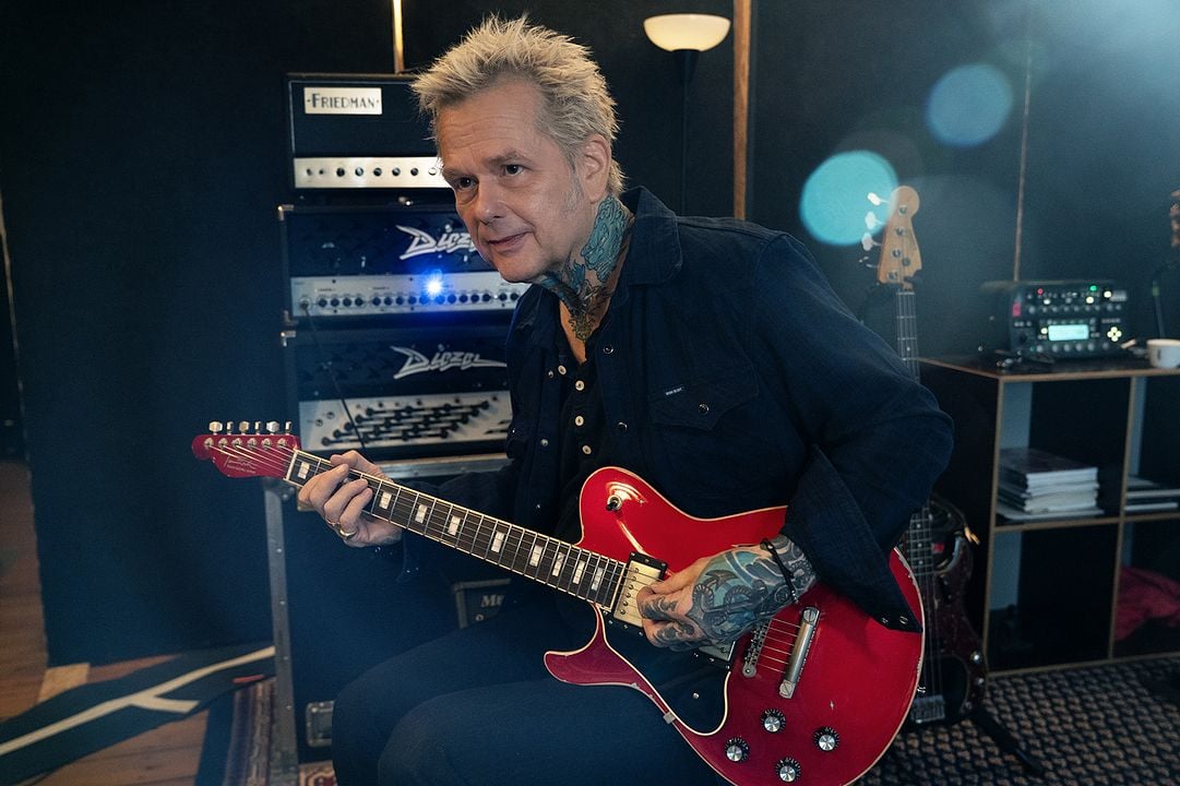 Die Toten Hosen - Das letzte Album : Bild