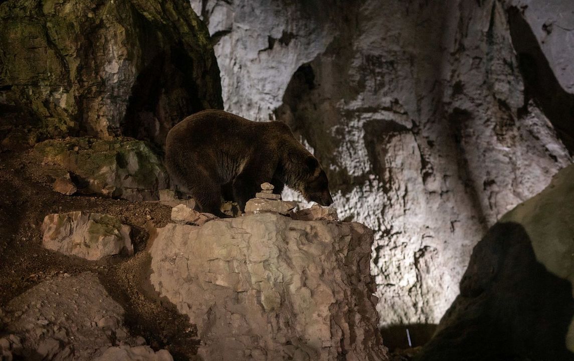 Savage Hunt - Blutige Jagd : Bild