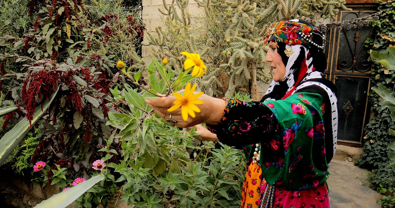 Tevî her tiştî – Trotz alledem : Bild
