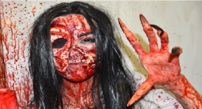 The Night Of The Living Pumpkin : Bild