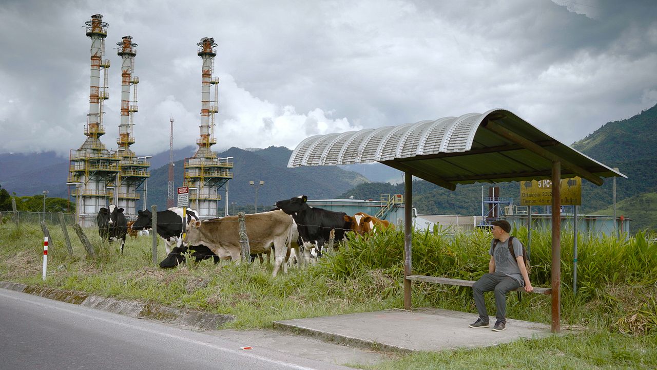 Wir, die Wolfs : Bild