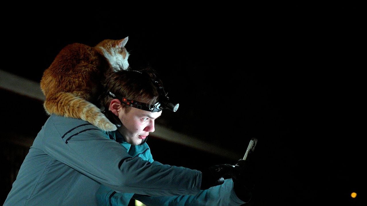 Folktales - Mit Schlittenhunden ins Leben : Bild