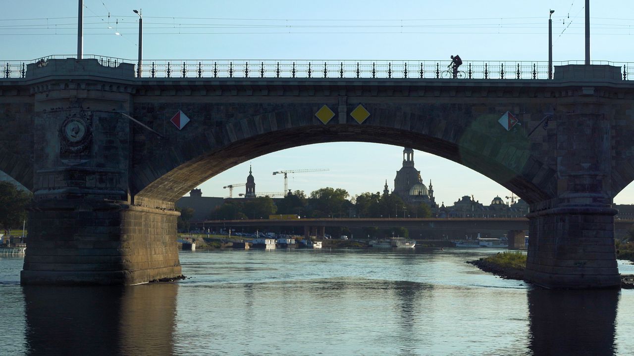 Wir, die Wolfs : Bild