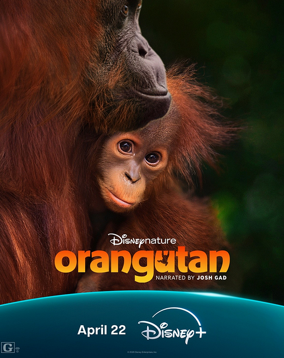 Disneynature: Orang-Utans : Kinoposter