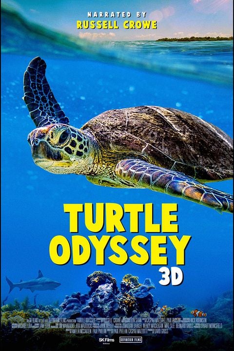 Turtle Odyssey : Kinoposter