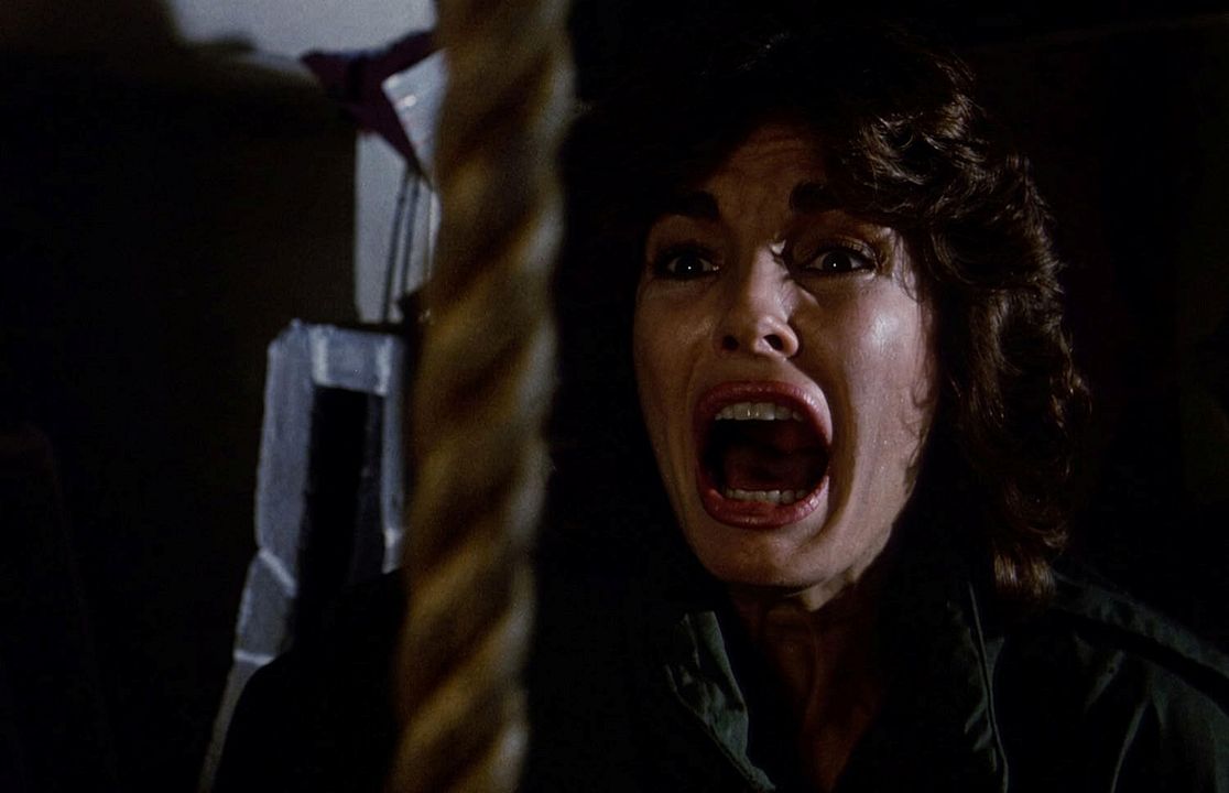 Too Scared To Scream - Der nackte Wahnsinn : Bild Anne Archer
