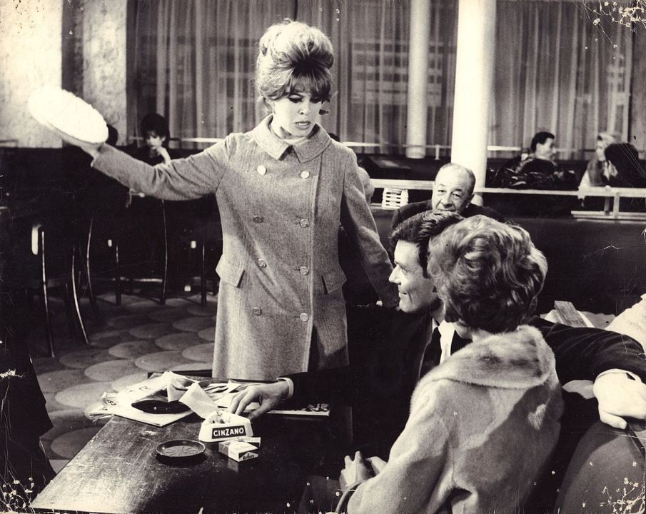 In Freiheit dressiert : Bild Brigitte Bardot, Joséphine James, Jacques Riberolles