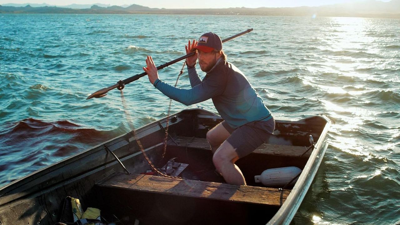 Shark Warning : Bild