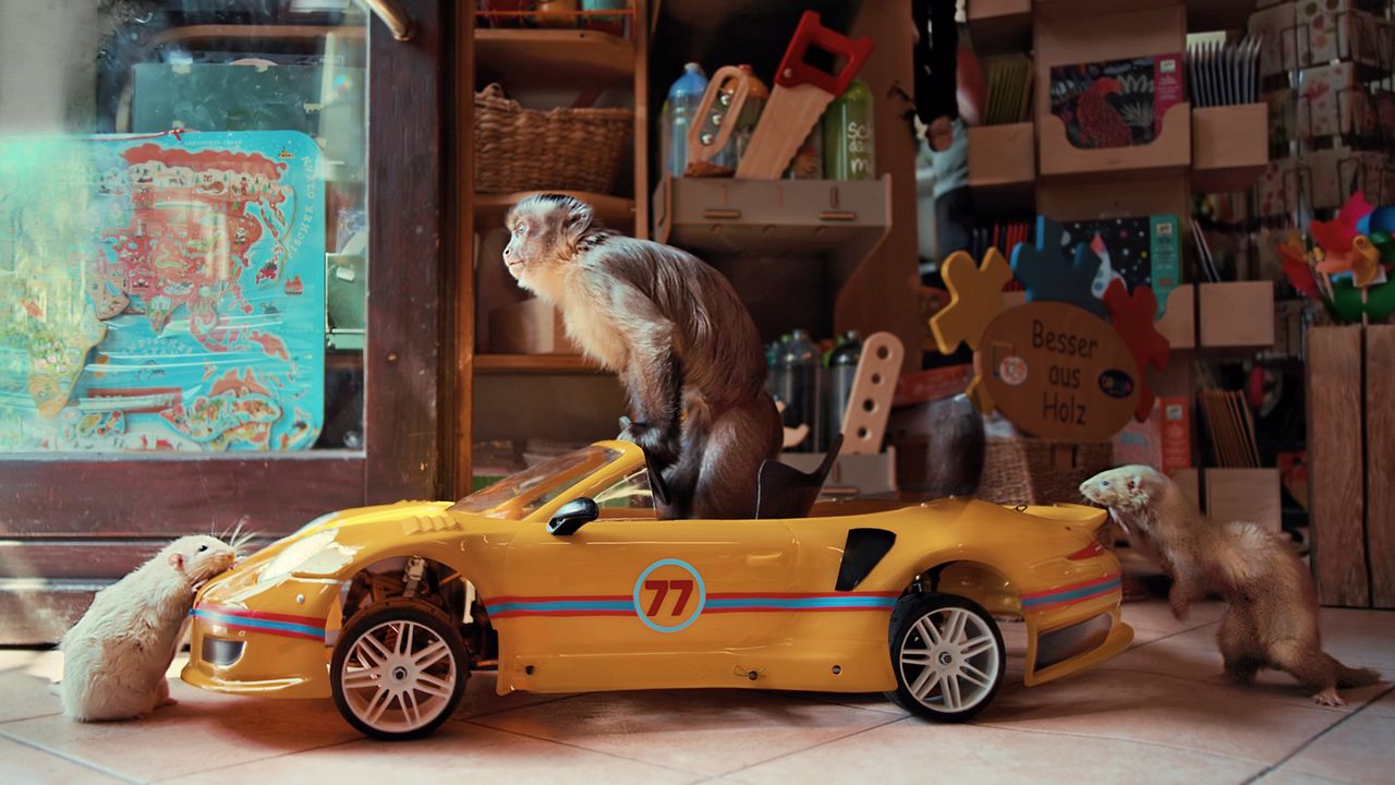 Akiko – Der fliegende Affe : Bild