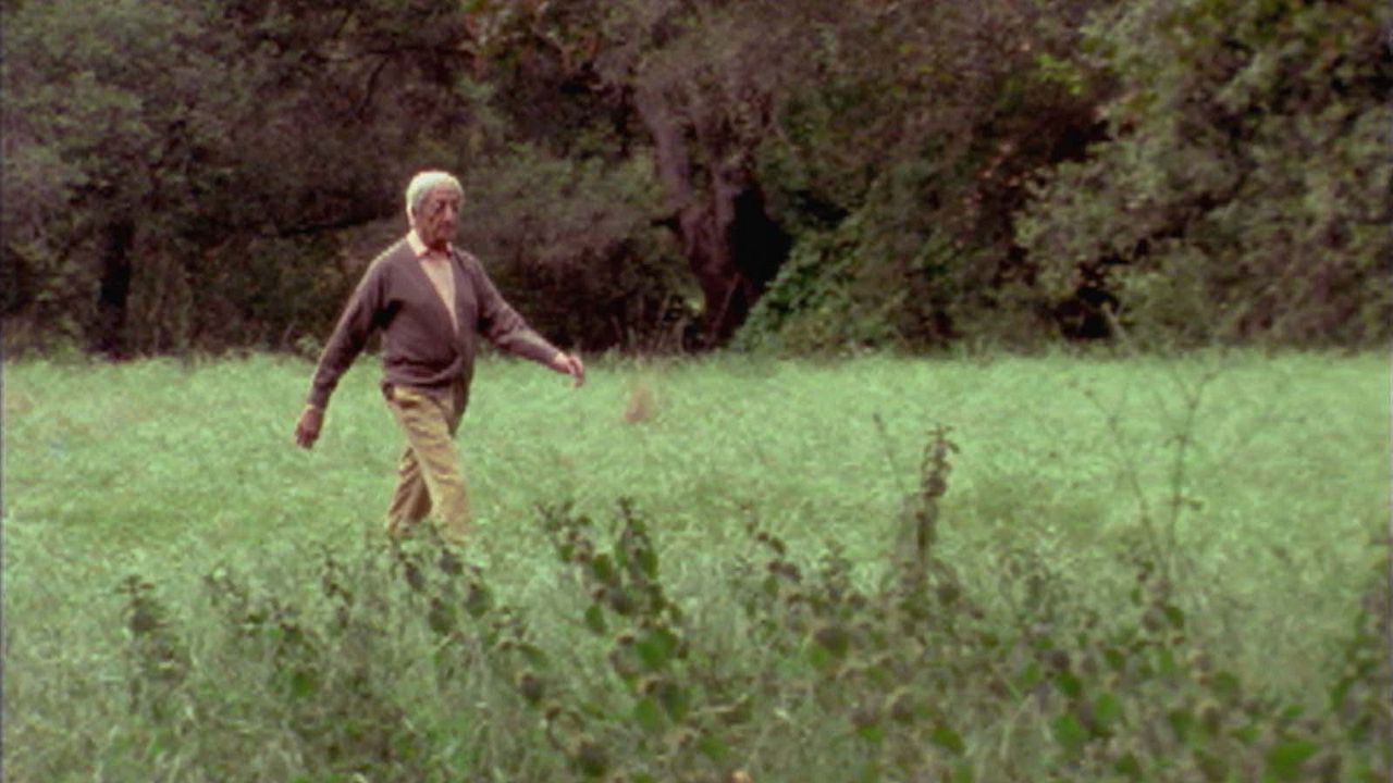 Krishnamurti, die Revolution der Stille : Bild