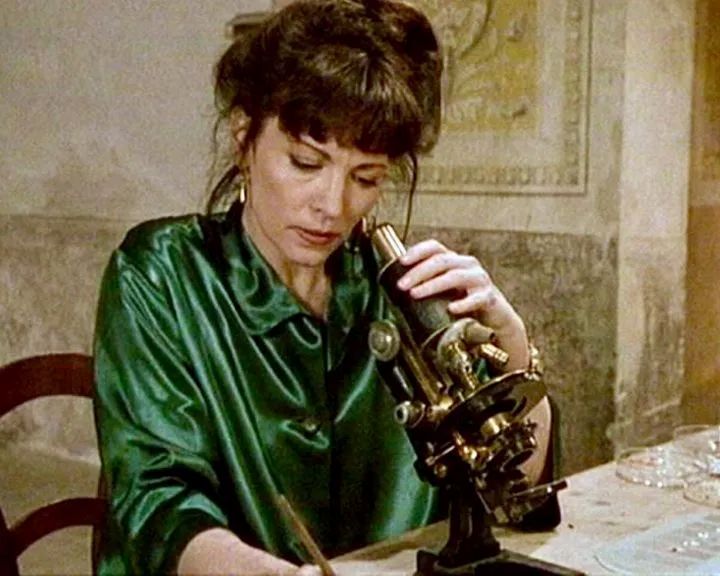 St. Petri Schnee : Bild Iris Berben